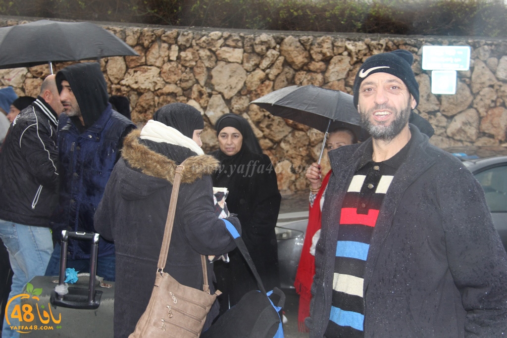 mo3mtreen eight (7).JPG